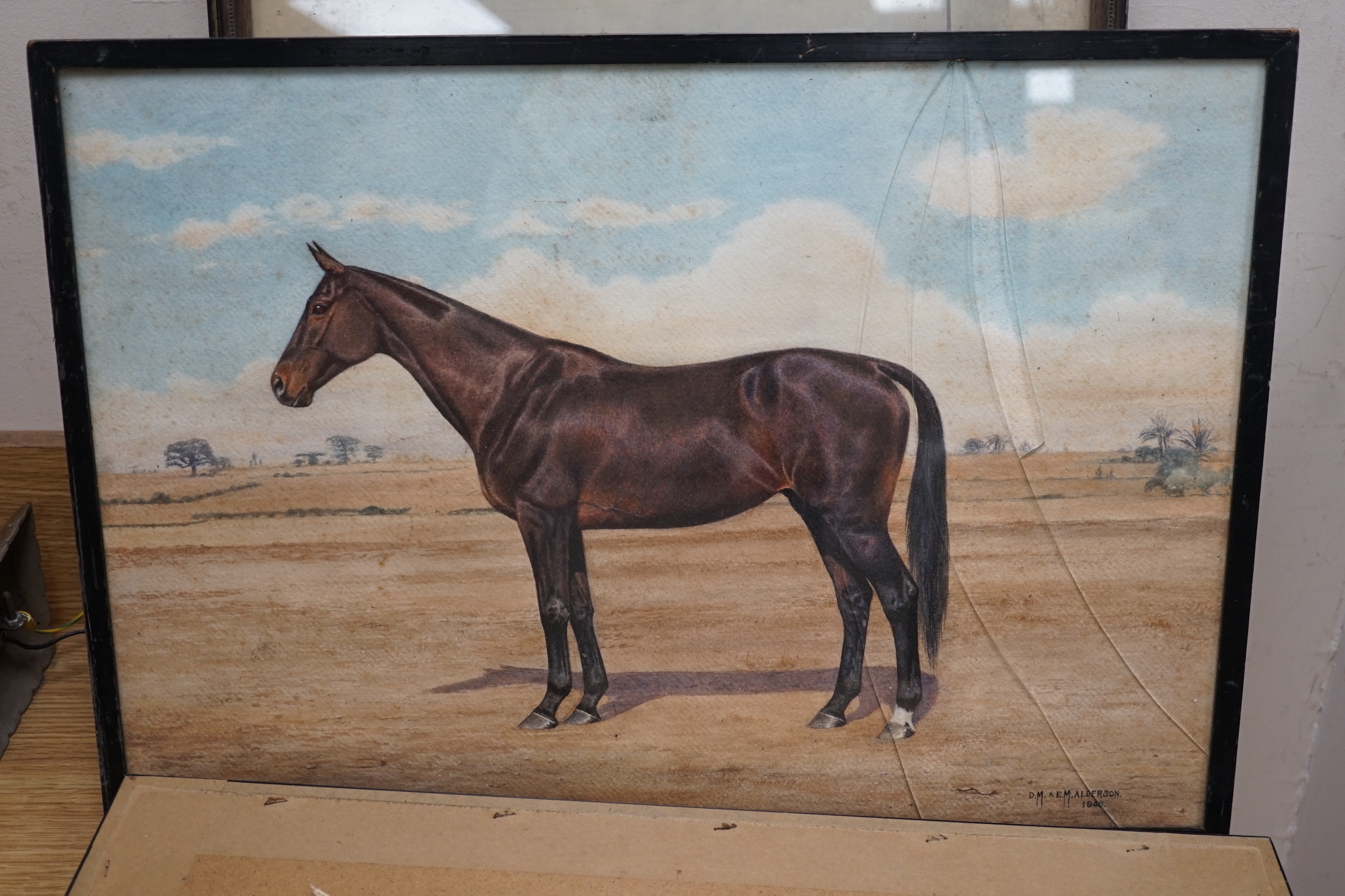 D M & E M Alderson, pair of watercolours, Portraits of racehorses c.1943/48 raced at Calcutta, together with a group of related photographs and ephemera, signed and dated, 38 x 52cm